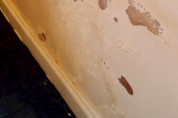 Damp In Your Home Could Be Caused By Blocked Or Damaged Pipework